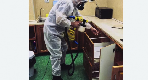 Уничтожение насекомых в квартире. Кузнечное