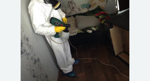 Обработка квартир от насекомых в Кузнечном