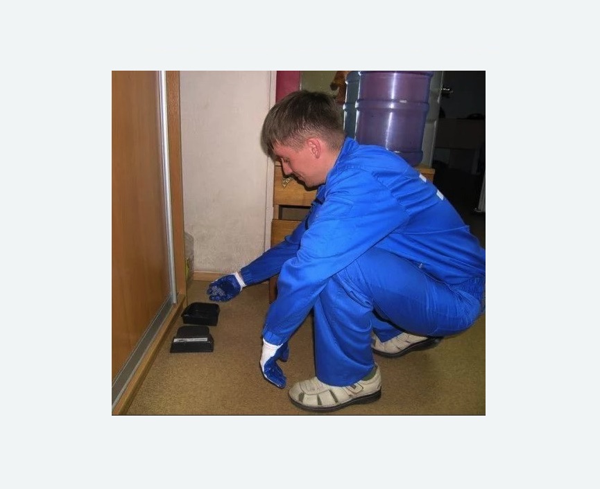 Дератизация крыс в Кузнечном