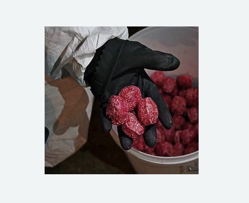 Обработка от крыс в Кузнечном