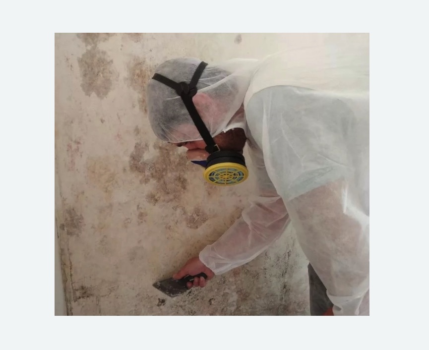 Обработка стен от плесени в Кузнечном