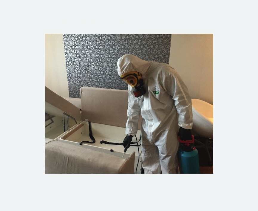 уничтожение клопов в квартире в Кузнечном