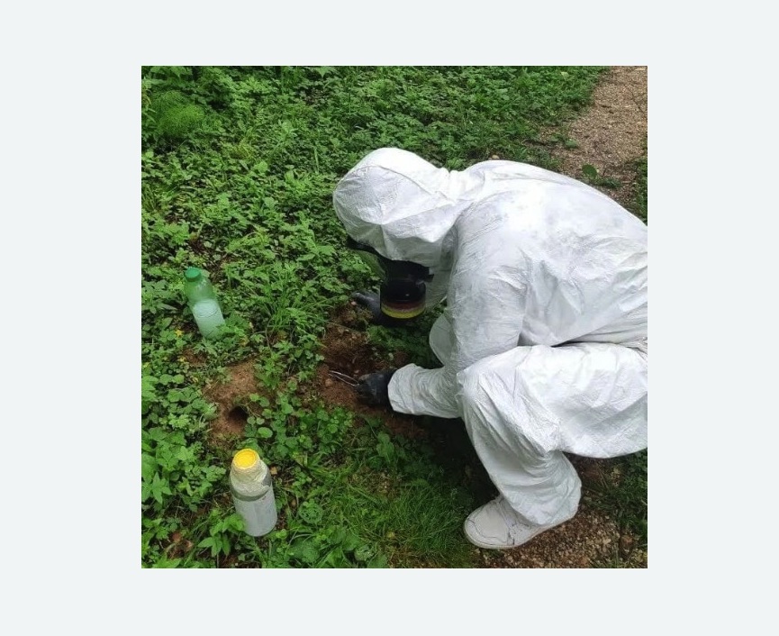 уничтожение кротов на участке в Кузнечном