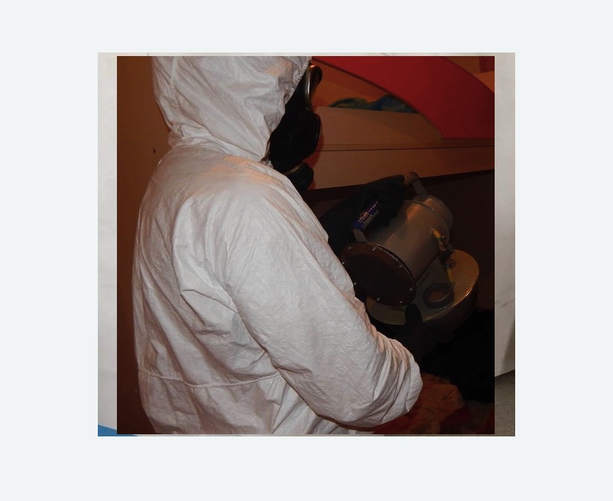 Дезинфекция от муравьев в Кузнечном