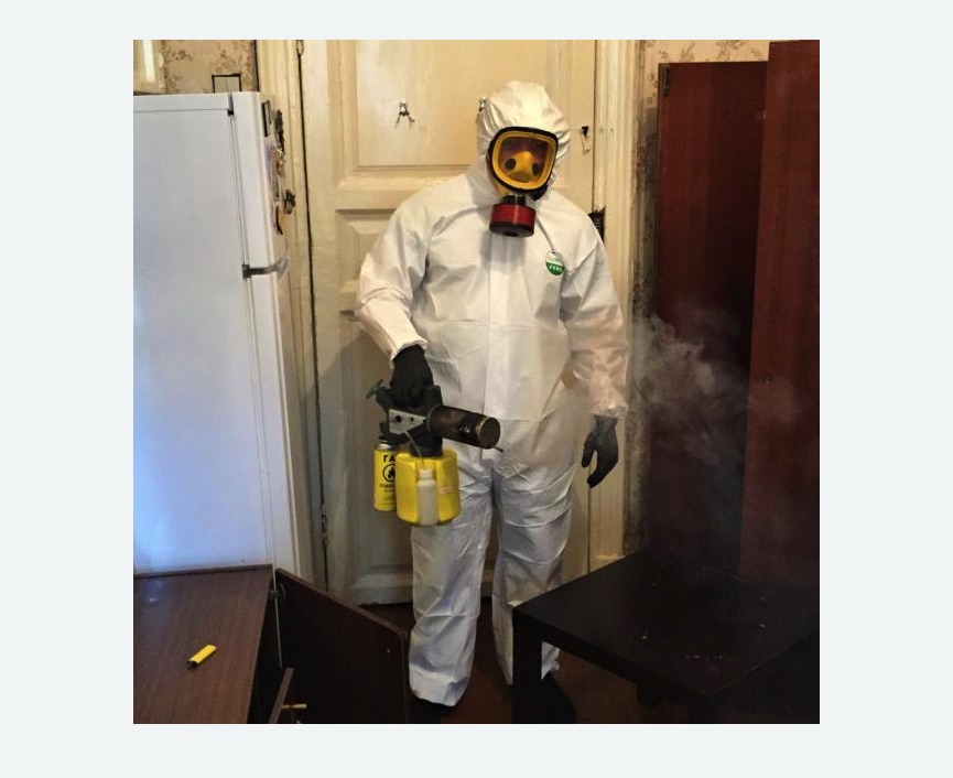 уничтожение муравьев в квартире в Кузнечном